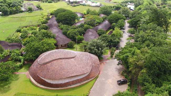 Organic architecture in the trees